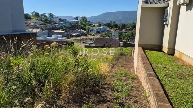 Terreno, foto 4