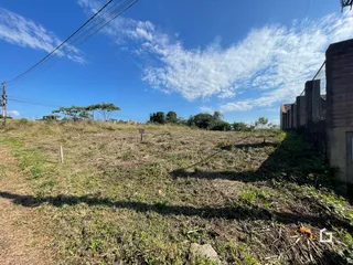 Vista externa de um terreno com vegetação seca e um edifício ao fundo.