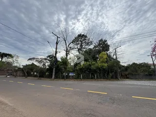 Vista da rua com árvores e postes em Lajeado, Brasil.