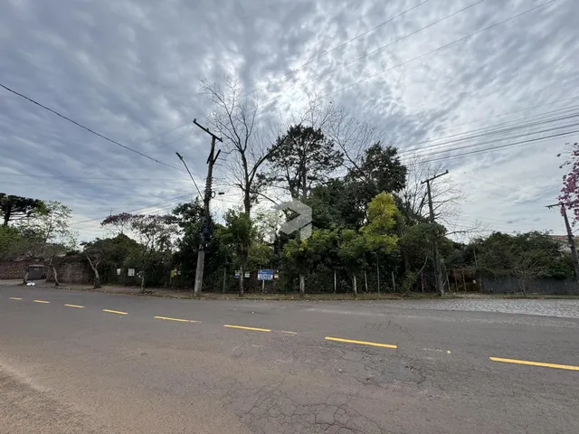 Vista da rua com árvores e postes em Lajeado, Brasil.