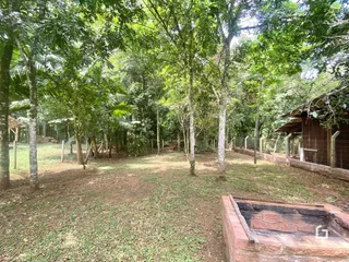 Área rural com 4 dormitórios, foto 23