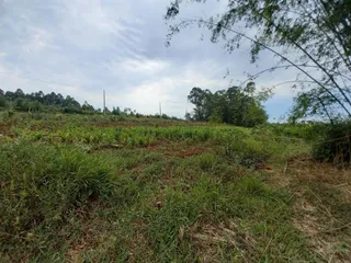 Terreno, foto 5