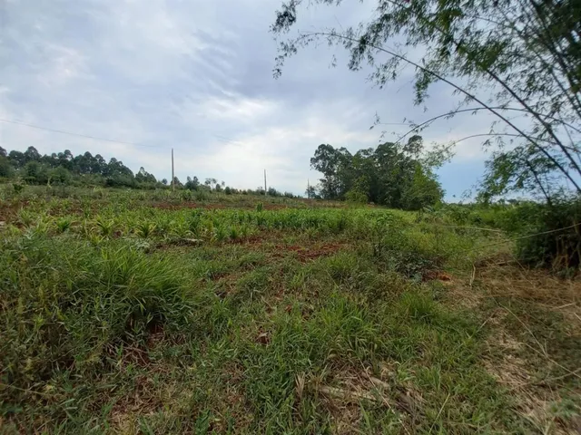 Terreno, foto 5