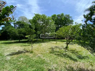 Terreno, foto 3
