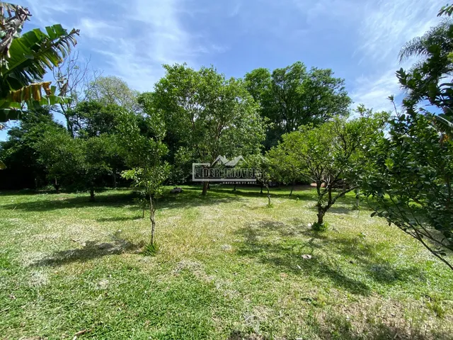 Terreno, foto 3
