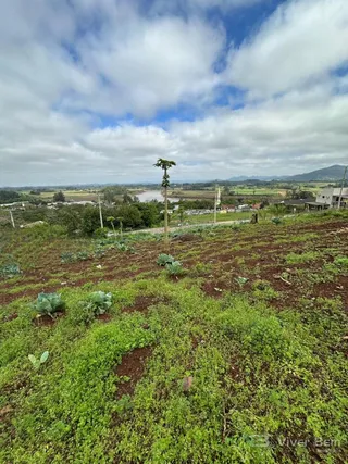 Terreno, foto 2