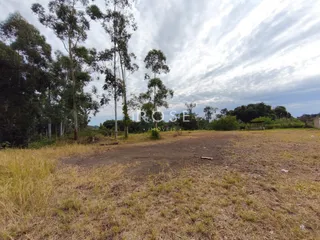 Área rural com 3 dormitórios, foto 20