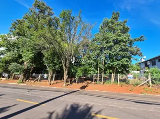 Vista da rua com árvores ao longo da propriedade em Lajeado.