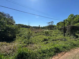 Área rural com 3 dormitórios, foto 5