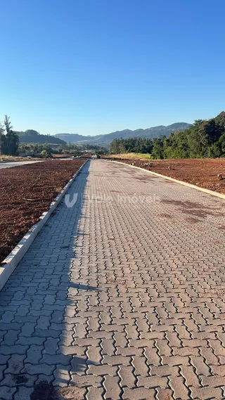 Terreno, foto 2