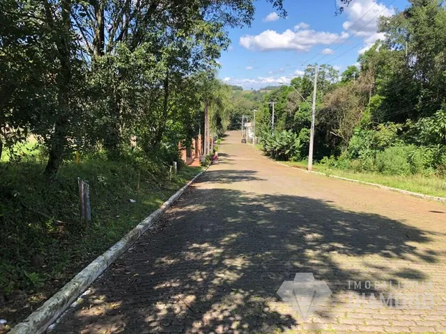Terreno, foto 3