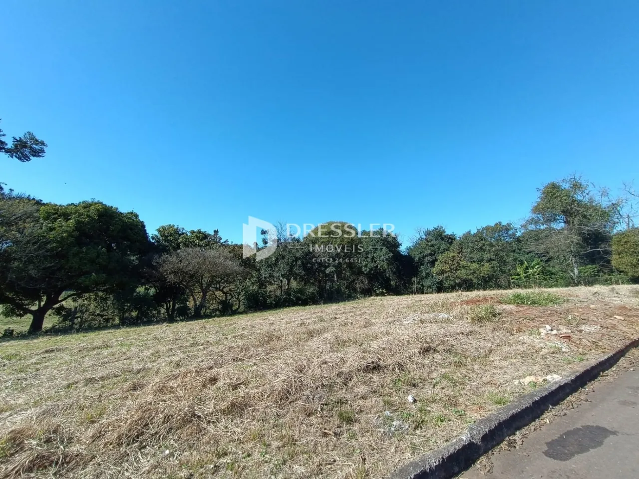 Campo gramado seco com árvores ao fundo sob um céu azul.