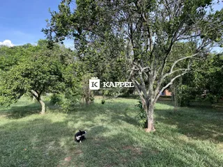 Paisagem externa com árvores e grama verde em uma propriedade.