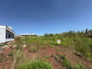 Vista externa de um terreno com vegetação alta sob um céu azul.