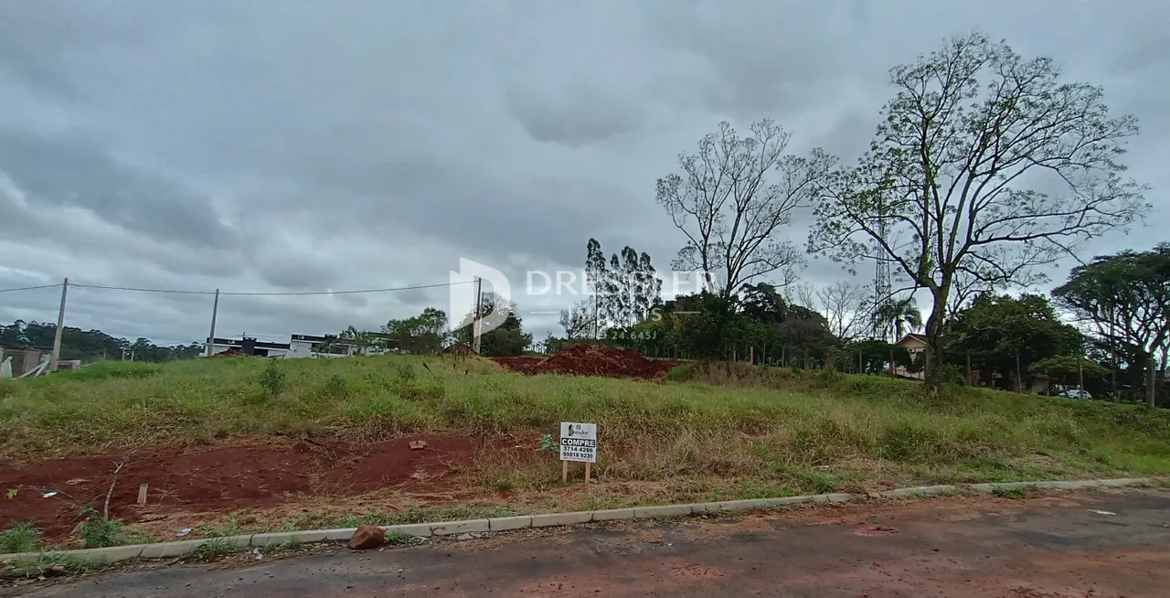 Paisagem de terra e vegetação ao lado de uma estrada.