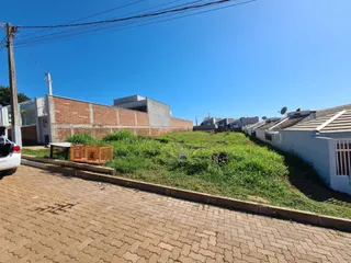 Terreno, foto 1