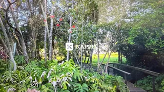 Vista de um jardim exuberante com vegetação densa e passarela de madeira.