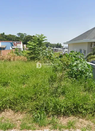 Vista externa de um terreno com grama alta e vegetação densa.