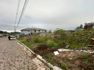 Vista externa de uma propriedade com terreno e vegetação ao lado de uma rua pavimentada.
