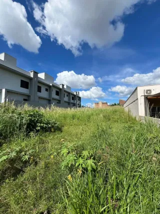 Terreno, foto 3