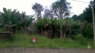 Terreno, foto 5