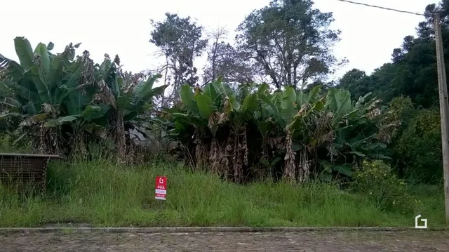 Terreno, foto 5