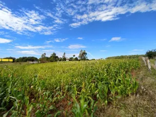 Área rural, foto 5