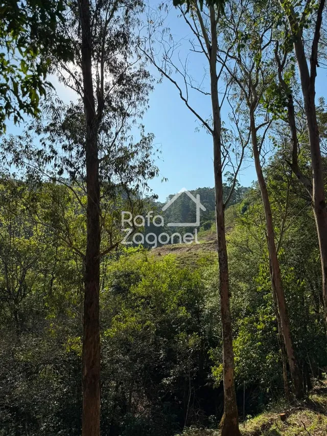 Área rural, foto 2