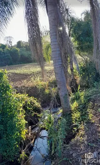 Área rural, foto 19