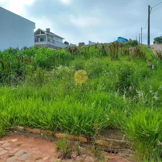 Terreno, foto 2