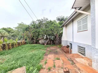Vista externa de um terreno com grama e vegetação densa