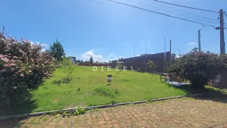 Terreno, foto 3