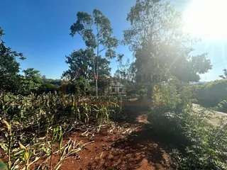 Área rural com 3 dormitórios, foto 5