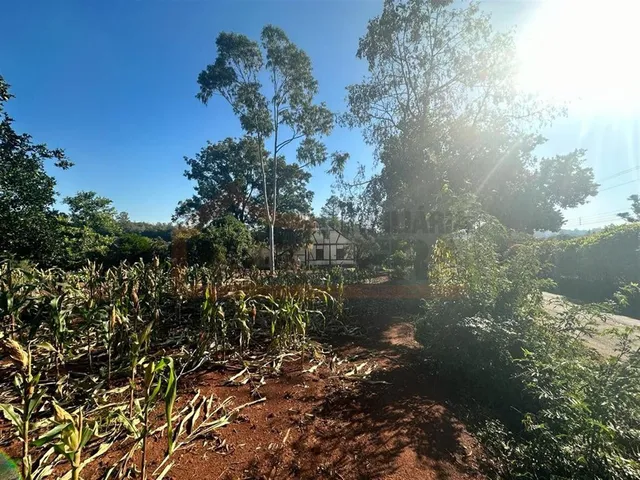 Área rural com 3 dormitórios, foto 5