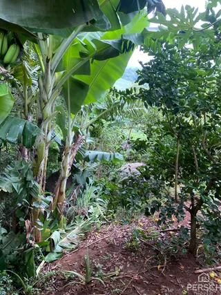 Área rural, foto 8