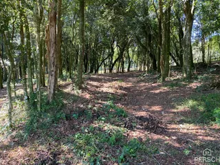 Área rural, foto 3