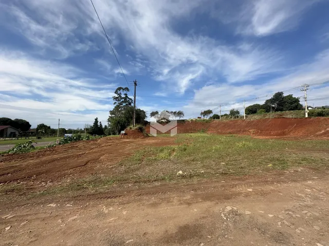 Paisagem de terra e vegetação em uma área aberta.