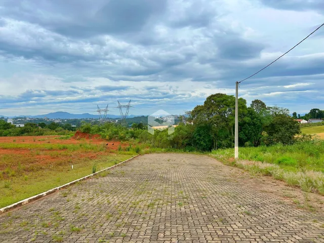 Uma estrada de paralelepípedos leva a um campo verde com árvores ao fundo.