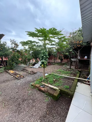 Casa com 3 dormitórios, foto 17