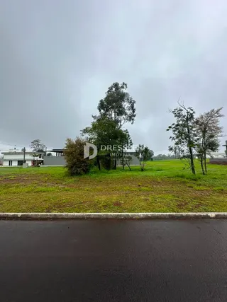 Terreno, foto 1