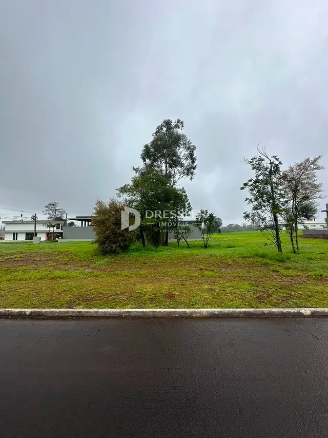 Terreno