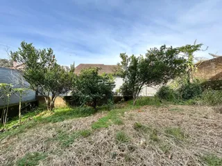 Vista externa da propriedade com vegetação densa na frente.
