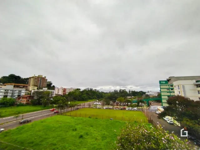 Vista externa de uma área gramada com árvores e uma estrada.