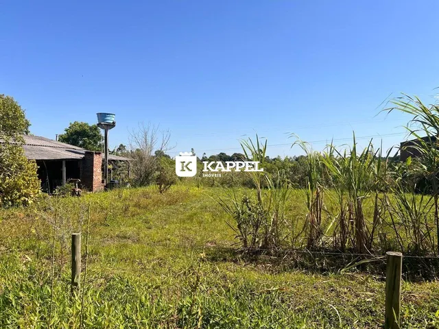 Vista externa de um terreno com vegetação alta e grama no dia claro.