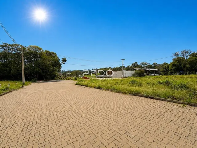 Vista da propriedade com área pavimentada e vegetação ao ar livre.
