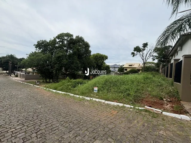 Vista da rua e vegetação ao lado de uma propriedade em Lajeado.