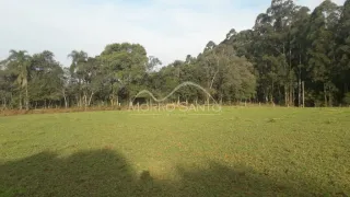 Área rural, foto 3