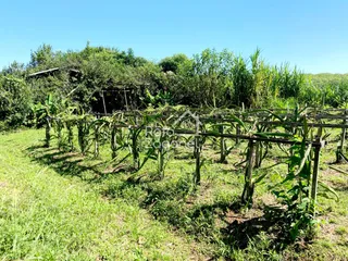 Área rural com 3 dormitórios, foto 5