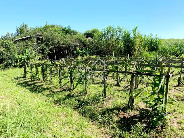 Área rural com 3 dormitórios, foto 5