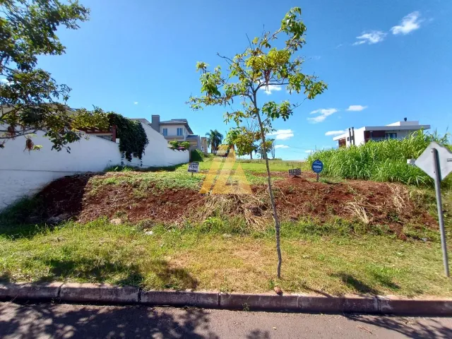 Terreno, foto 3